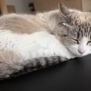 断捨離中の画像