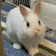 人工知能の画像