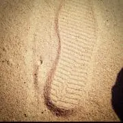 ぴかる