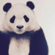パンダ