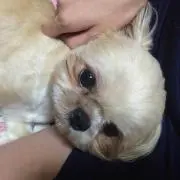 売りつくしSALE中♡