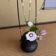 mcrの画像