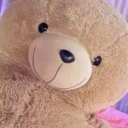 ぷの画像