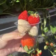 こぱん
