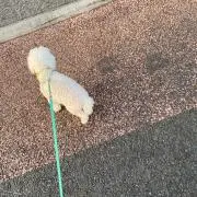 まっちゃんの画像
