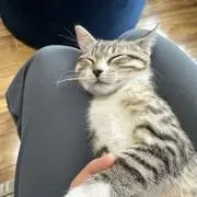 Yukiの画像