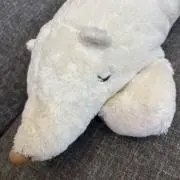kumaoの画像