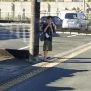 キツの画像