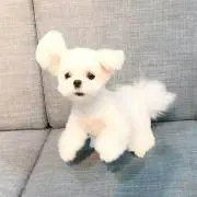 ろと✩