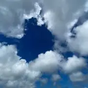 クマ☆の画像