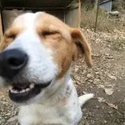 たなかの画像