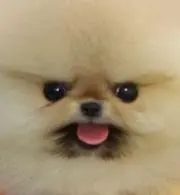 菓子の画像