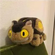 YM☆の画像