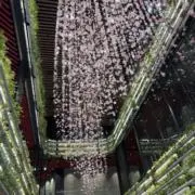 12の画像