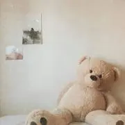 くまぐまの画像