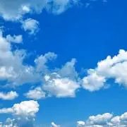綿飴（わたあめ）の画像
