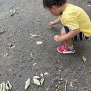 さくの画像