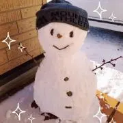 いちごの画像