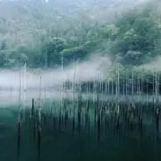 山&川の画像
