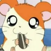 はむたんの画像