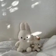 にゃん✿プロフお読みください✐☡の画像