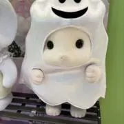 きちの画像