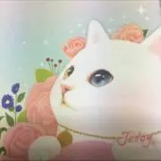 ビビアン.絶賛断捨離中♡の画像