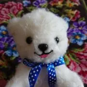 ※mちゃんプロフ必読願います✨の画像