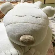 夕やけワンワン