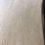 たんじゃー