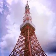 とるとる