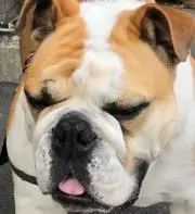 まきにょ
