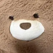 こんぶの画像