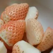 希維(りゅう)の画像
