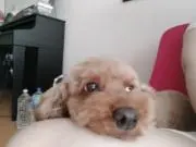 こばやんの画像