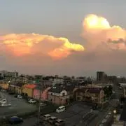 れんこんの画像