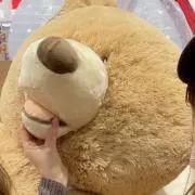 Hamの画像