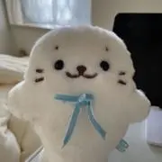 ステラの画像