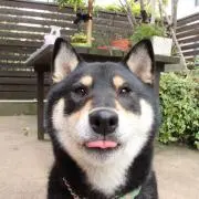 まなみの画像