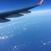 Kazuの画像