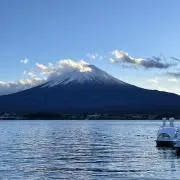 クリーム#簡易梱包の画像