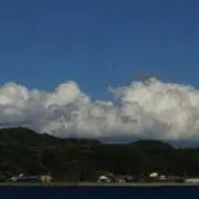 ゆきこの画像