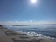 smileyの画像