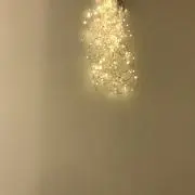 MARUの画像