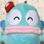 はんぎょドン⭐︎断捨離中⭐︎の画像