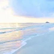 cho__aの画像