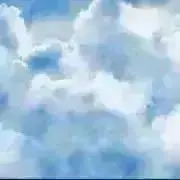 ショコラ【プロフ必読】の画像