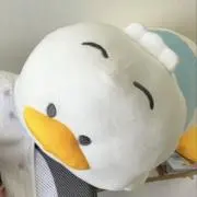 サボ03  お急ぎ対応できませんの画像