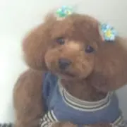 ナッツの画像