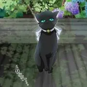 宵の画像